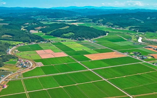“一米八‘宋大德’：宋德全在‘新农村’的传奇故事”