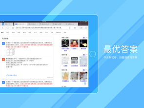 HD网络是什么