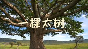 点击这里！电影愿望树神秘英文插曲大