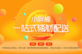 小胖熊酷生活：享受独特趣味的每一天