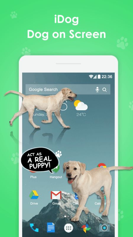 紧急救援：人与爱犬被困6小时困境求生记