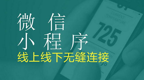 禾禾雨：专业育儿交流论坛