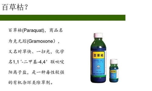 百草枯和敌敌畏哪个毒性更强？