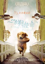 合法途径获取电影资源的方法指南