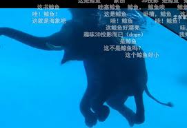 动物园怪谈背后的惊天秘密：真相大！