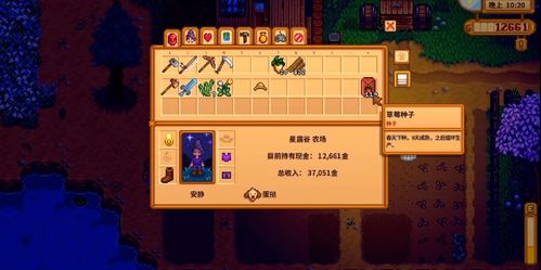 星露谷物语武器精选排