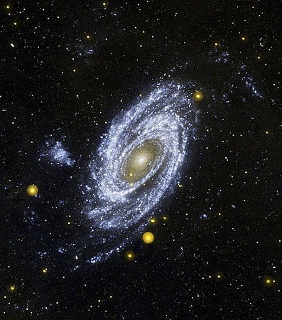 宇宙奇迹：星蛋——神秘的孵化体之谜