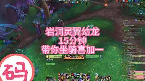 灵动灵翼幼龙：全面声望提升攻略
