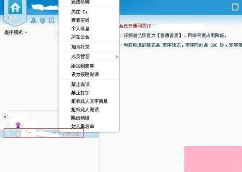 YY账号不同马甲颜色含义