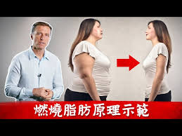 纽仕康脂肪燃烧弹效果如何