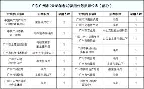 共青团市委科员：城市青年发展蓝图的绘制者