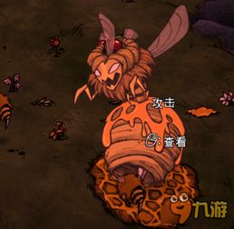 饥荒游戏中如何击败蜂后？蜂后击杀技巧大