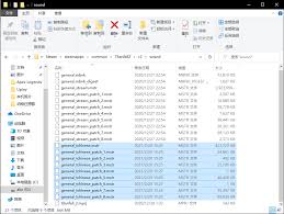 如何在Rising Storm 2中设置游戏语言为中文？