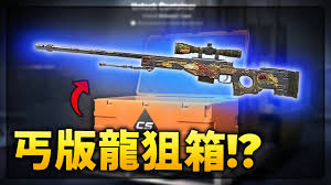 CS2龙狙箱子市场价格详解