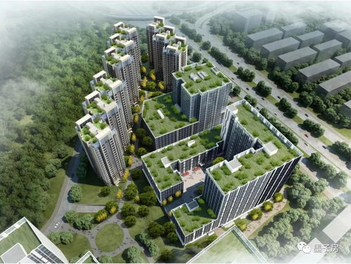 迅驰集团（基金）：全面解析其来龙去脉