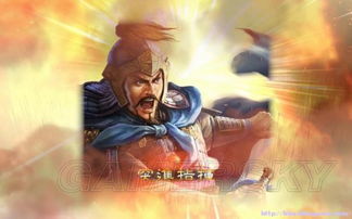 三国志13婚姻系统全攻略：如何抱得美人归？