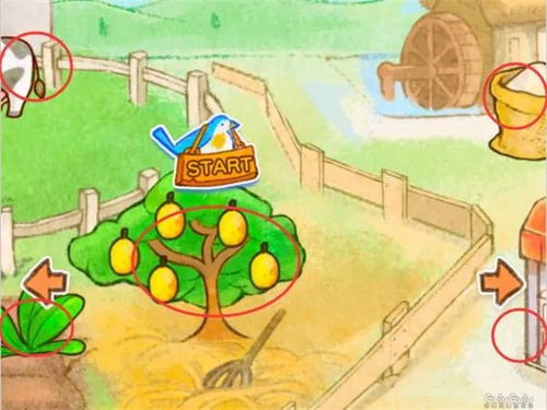 创意柠檬派：洋果子店的清新诱惑
