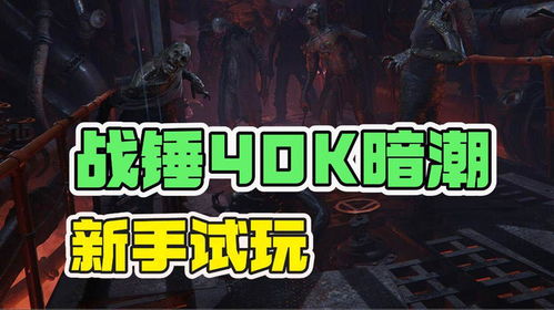 战锤40K暗潮狂信徒天赋详解与顶级BD搭配推荐