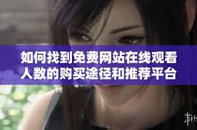 如何查看免费网站的在线访问人数
