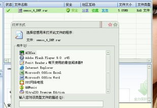 Henhense无法打开的原因及解决方法