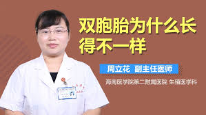 双胞胎为何松紧不一样？背后的秘密