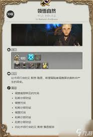 最终幻想14白魔法师职业全面解析