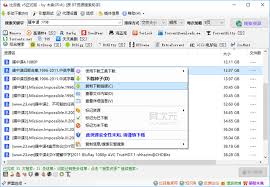 紧急解决！冰鱼BT下载种子链接失效问题全攻略
