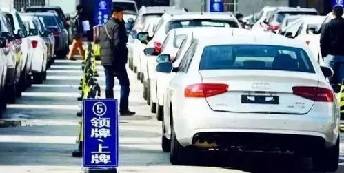 甘BBB119车牌所属车辆
