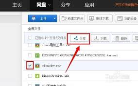 “百度网盘提取码究竟是什么？”