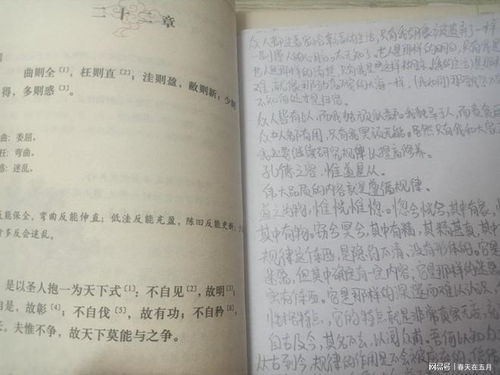 元夜游记：古文今译探秘