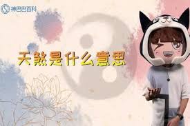 解析‘天煞’一词的含义