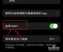 苹果6启用WAP1设置的含义