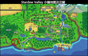 浪漫春日盛宴：星露谷物语花舞节全
