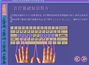 2024必玩！提升打字技能的趣味游戏排行榜——最热门打字练习游戏推荐