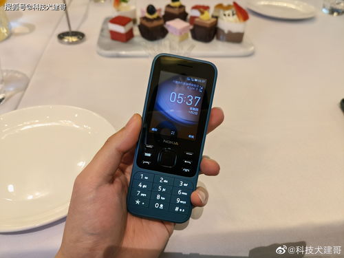 2024年必玩！诺基亚手机游戏趣味大盘点，经典与新奇不容错过！