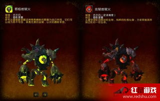 克洛格果实：神奇功效与兑换秘籍大！