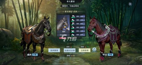 如何在真三国无双5中高效刷马？掌握这5个技巧！