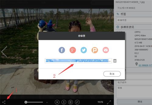‘芸萃’一词的深层含义是什么？