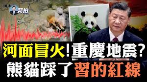 这位外国友人如何征服中国网友的心