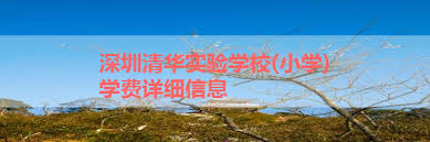 深圳清华实验学校——优质教育，超值学费