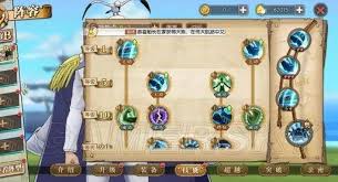 航海王燃烧意志：战国技能加点全攻略，高效加点推荐