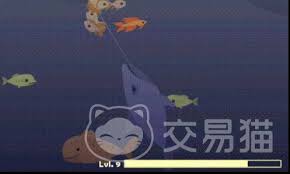 惊小猫钓鱼大挑战：钓鲨鱼的神奇技巧