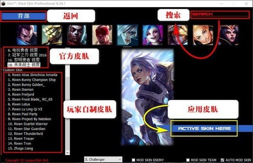 后宫大酒店凯特全解析：凯特相关问题答案汇总