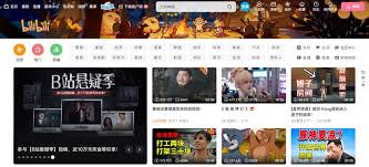 在国外访问B站是否需要付费？