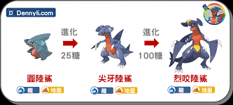 圆陆鲨的进化等级分析